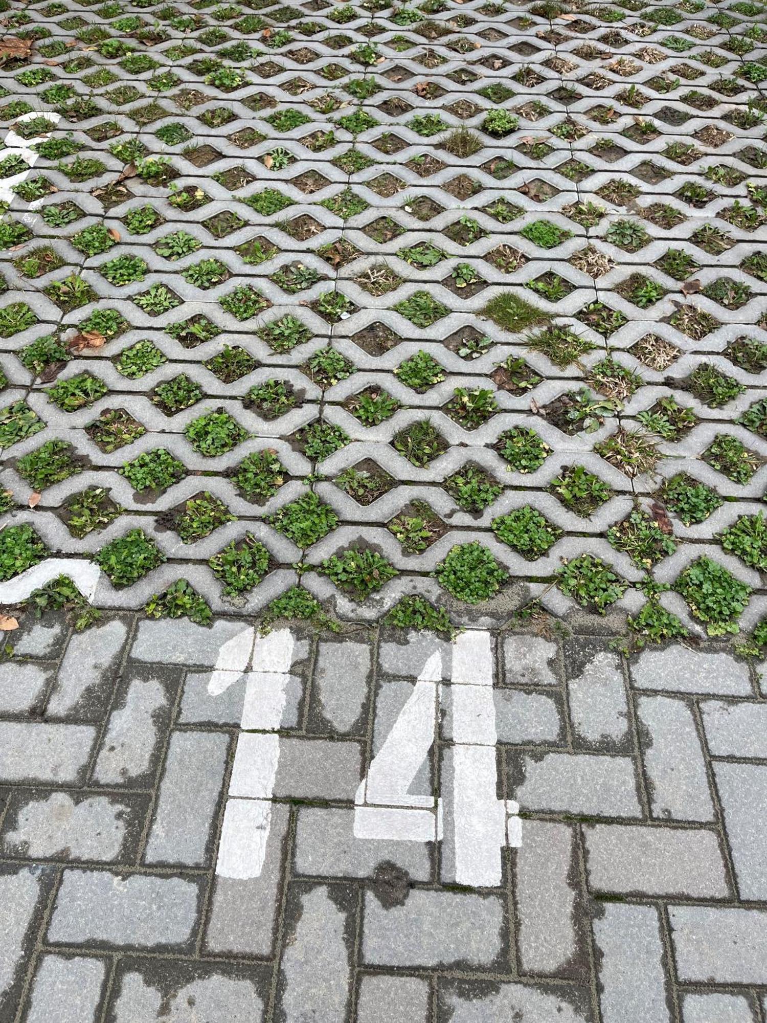 Ciao Lilla Apartman Кестхей Екстер'єр фото